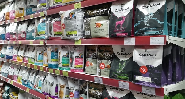 Появление, особенности, преимущества и недостатки сухого корма для
							кошек