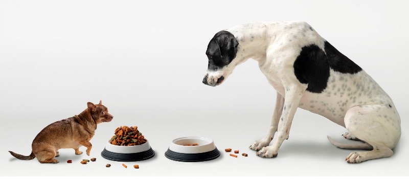 Размер имеет значение