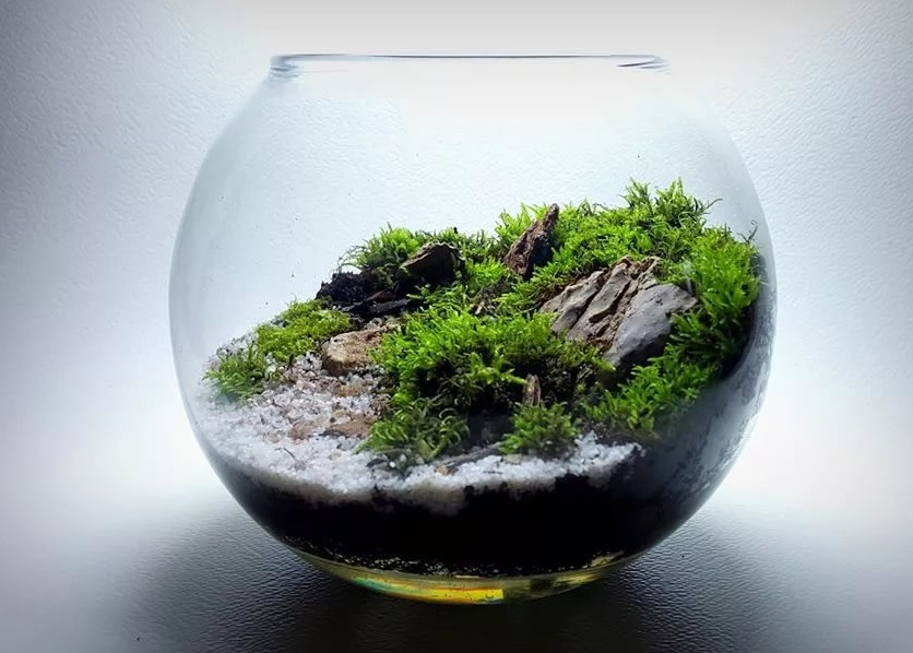 Когда стоит купить круглый аквариум. Как правильно подобрать
							подходящую модель. Особенности содержания круглых аквариумов.
							Ассортимент шарообразных емкостей от интернет-магазина «Аква Зоомаркет».