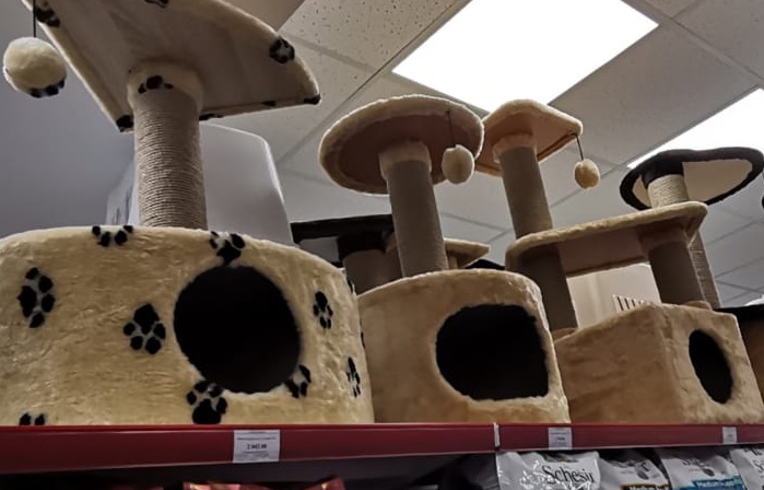 Когтеточка - необходимый предмет в квартире обладателя кошки.
							Какую когтеточку выбрать и как приучить к ней питомца