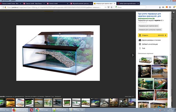 Как выбрать и купить аквариум для черепах. На что обратить
							внимание при покупке. Расчет объема емкости. Правила обустройства
							акватеррариума.