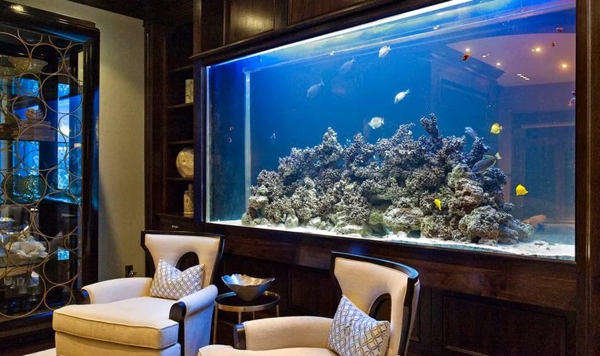 Как правильно выбрать большой аквариум. Особенности ухода за
							большими емкостями. Преимущества аквариумов объемом 300-400 литров.