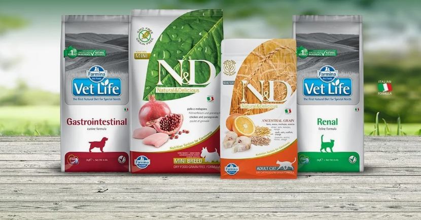 Преимущества беззерновых кормов для питомцев 