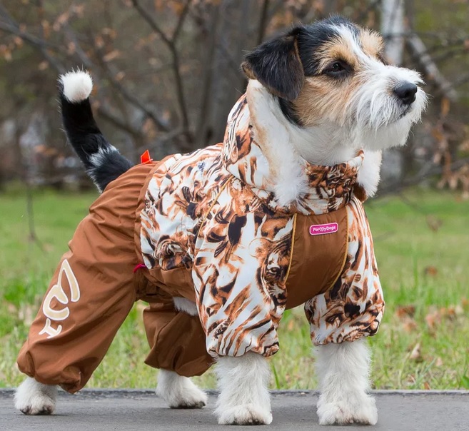 Одежда для собак forMyDogs имеет широкий размерный ряд,
							охватывающий собак разных размеров всех пород