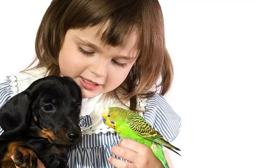 Интересная статья на тему, какую роль играет хозяин в жизни своего
							питомца