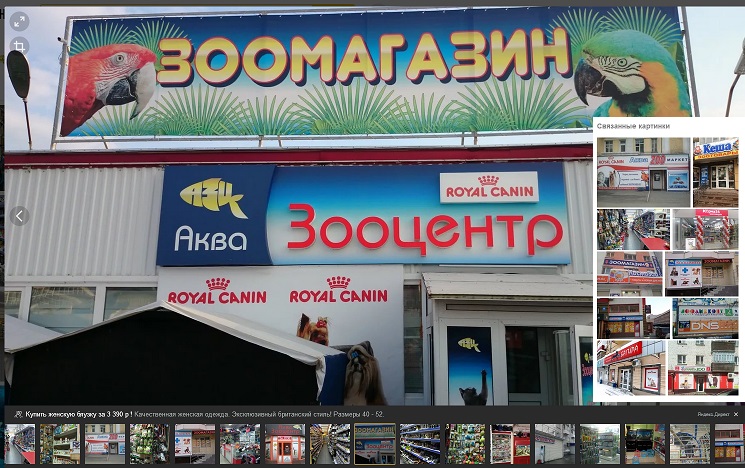 Где обычно покупают аквариумных рыбок. Преимущества покупки в
							интернет-магазине. Ассортимент от компании «Аква Зоомаркет».