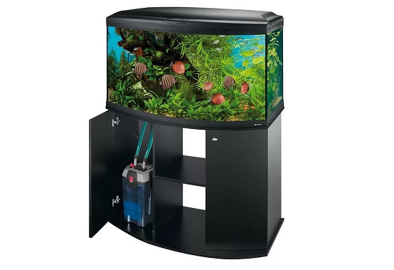 Особенности аквариумных тумб, какие модели бывают. В чем
							преимущества и особенности таких изделий. Ассортимент подставок от
							интернет-магазина «Аква Зоомаркет».