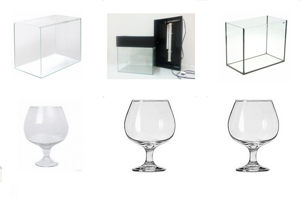 Особенности выбора подходящих аквариумов. На что обратить внимание
							при покупке. Какие характеристики считаются основными. Покупка
							недорогого аквариума.